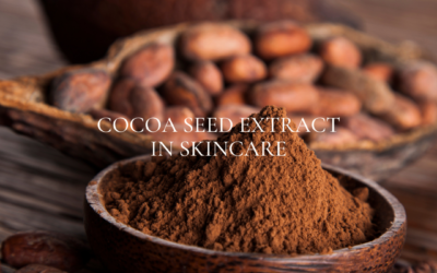 EXPLORING THE BENEFITS OF COCOA SEED EXTRACT